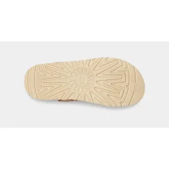 Chodaki Goldenstar Driftwood