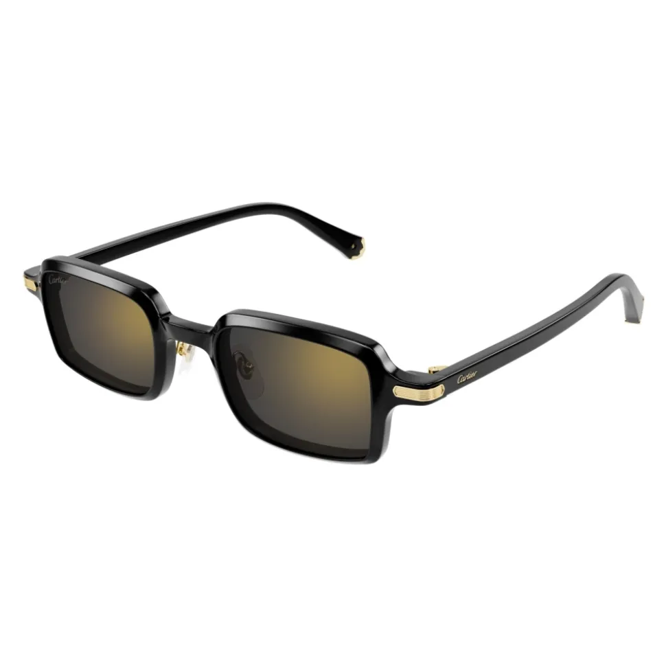 CT0539S 001 Sunglasses