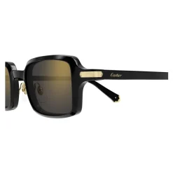 CT0539S 001 Sunglasses
