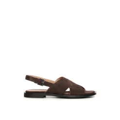 Etoile Cross Mousse 26E
