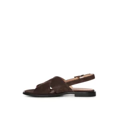 Etoile Cross Mousse 26E