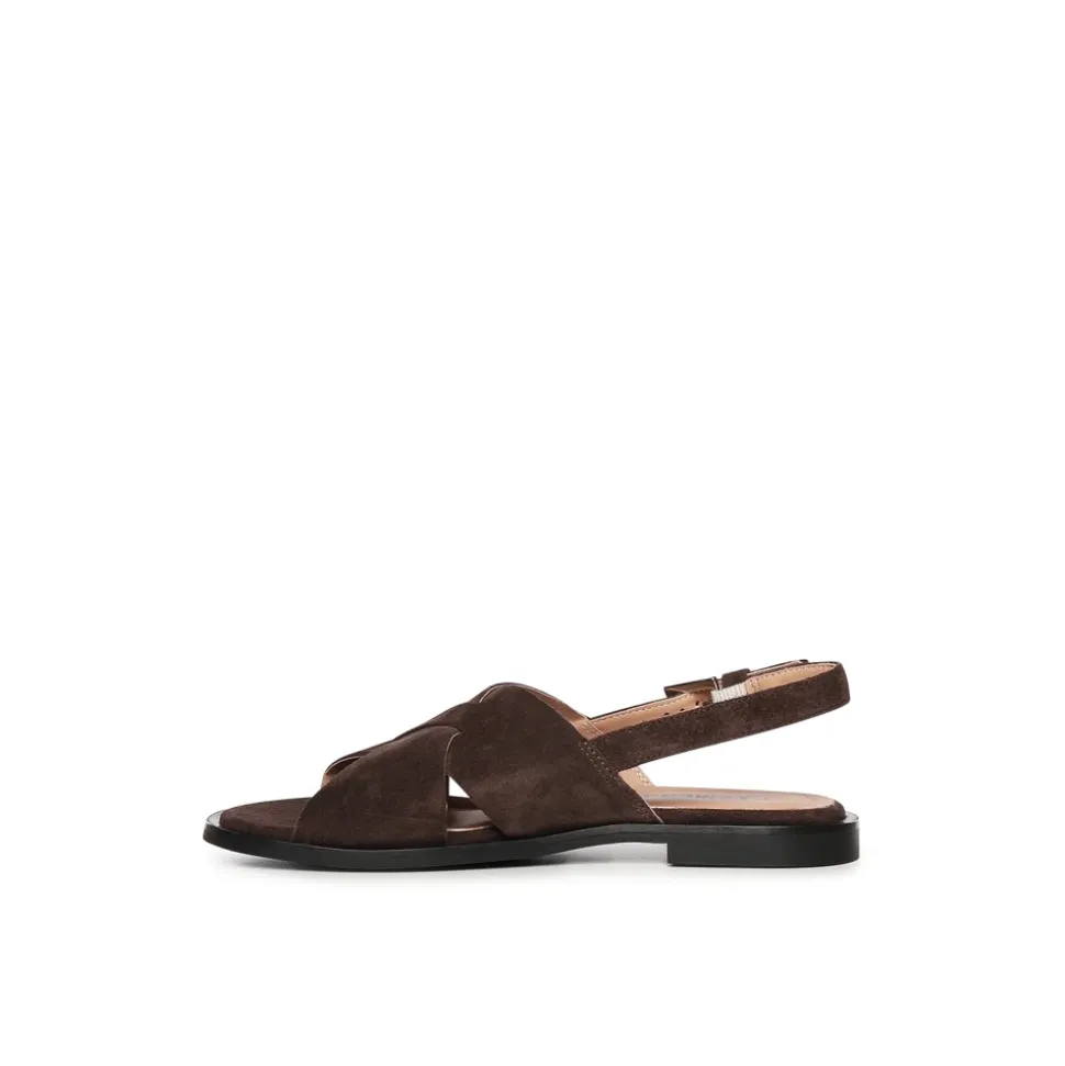 Etoile Cross Mousse 26E