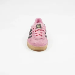 Gazelle Indoor