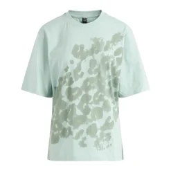 Graph Tee VAPGRN