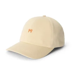IDE Cap