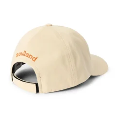 IDE Cap