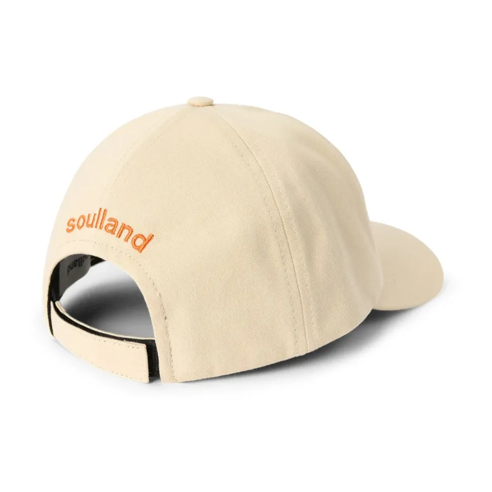 IDE Cap