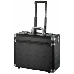 Pilot Case
