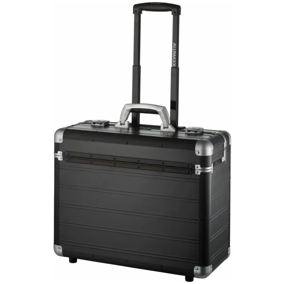 Pilot Case