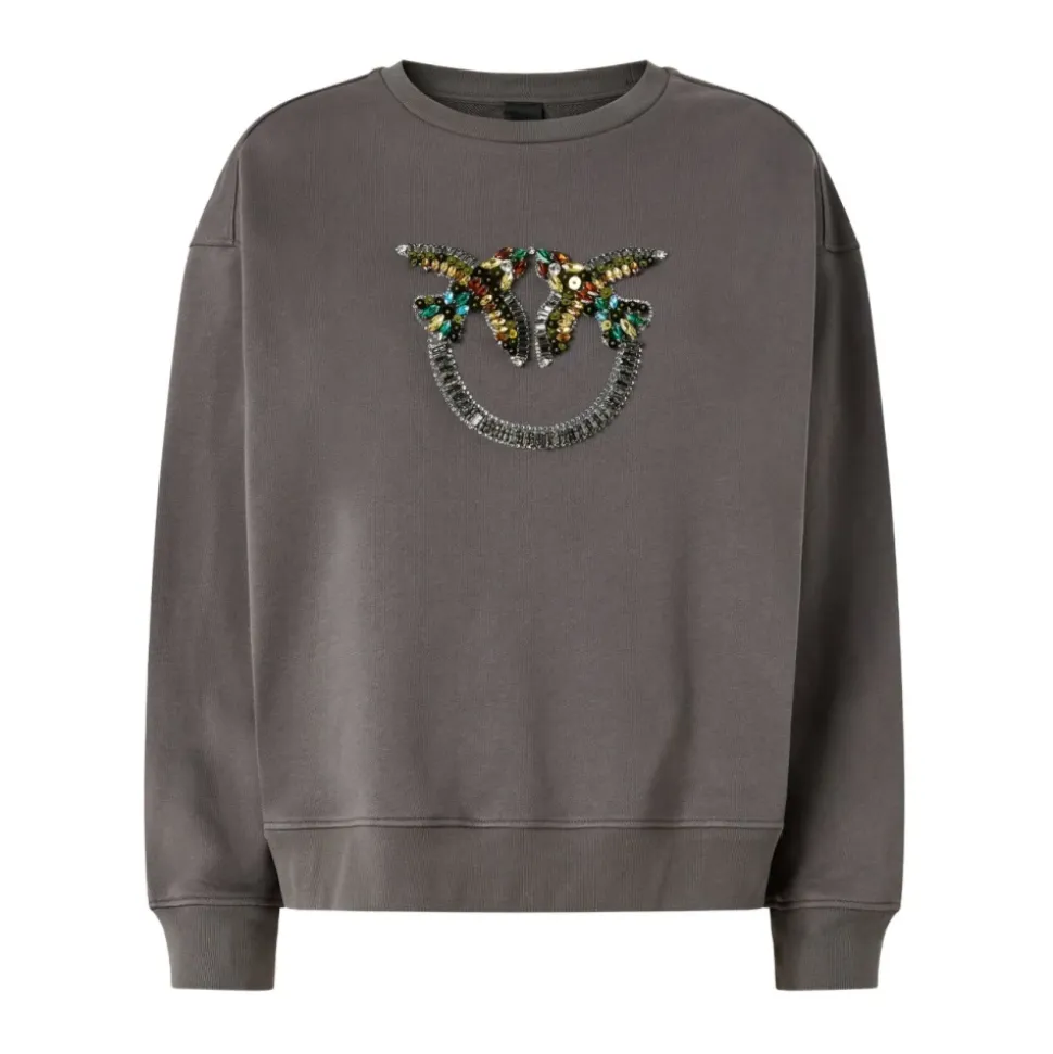 Pinko Sweaters Grey