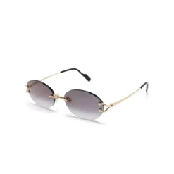 Signature C Round Sunglasses