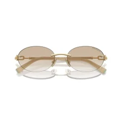 TF3104D Sunglasses